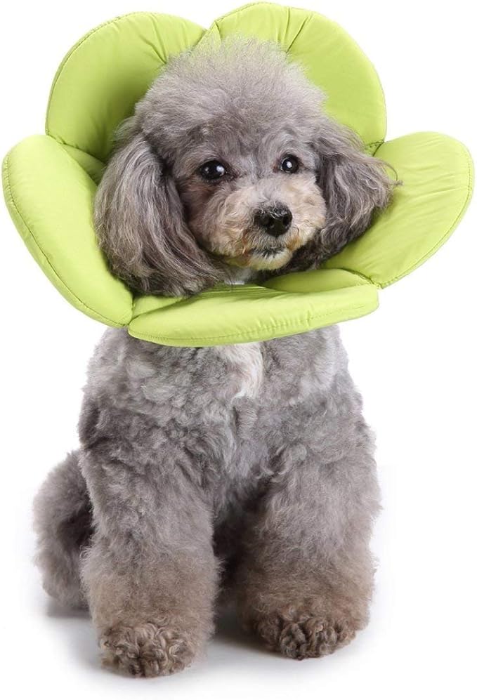 Dogs Cats Medical Grooming Pet E-Collar Recovery Remedy Protective Dog Lick Caught Soft Sponge Adjustable Postoperative Kit for Small and Medium Dog (Green, L (neck's Girth 12.6" to 13.3"))
