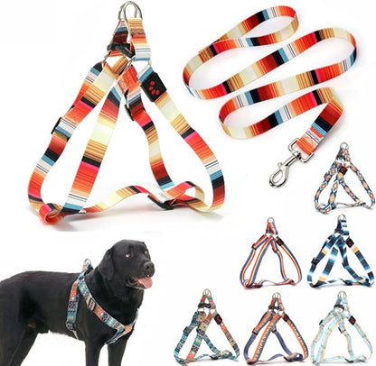 Dog Harness and Leash Set, Pretty Pattern No-Pull Pet Halter Puppy Vest Outdoor Easy Walk for Small Medium Large Breed Pug Bully Mastiff Dogs Female Male, Orange L