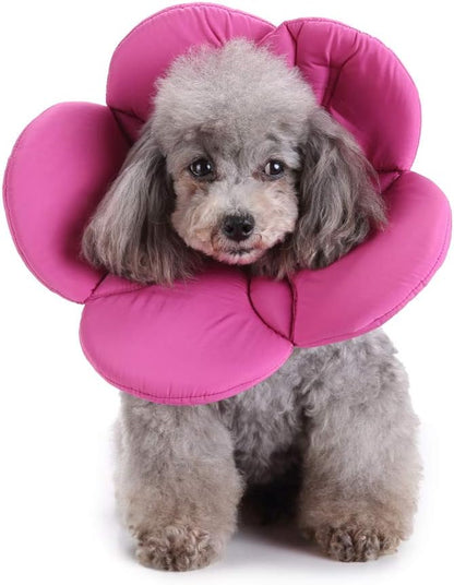 Elizabethan Collar, Soft & Waterproof Grooming Recovery Protective Adjustable Collar for Puppy & Small Medium Dogs (M Neck: 11-13in, Purple)