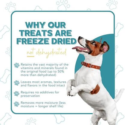 Freeze Dried Dog Treats – Turkey Hearts, Single Ingredient, All-Natural, USA Sourced, Human-Grade, Grain-Free High-Protein Training Treats, 3 oz (2-Pack)