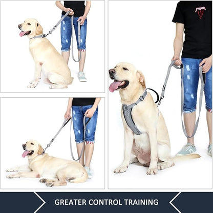 Plutus Pet Double Handle Dog Leash 5ft, Heavy Duty, Reflective Dual Handle Dog Leash for Safety Training, for Medium Large Dogs,2 Handle Leads(Gray)