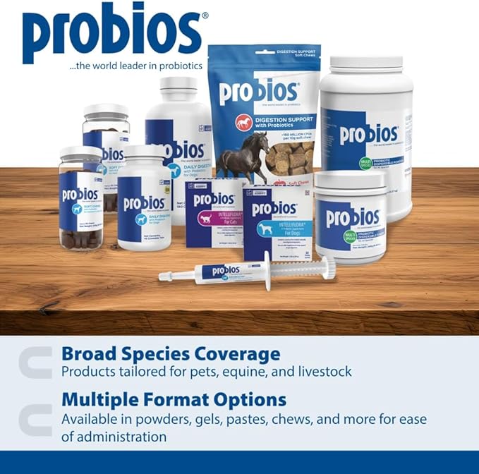 Probios for Dogs Soft Chews, Probiotics for Dogs, Daily Supplement for Gut Health, Digestion & Immune Support, Medium & Large Breeds, 8.46oz