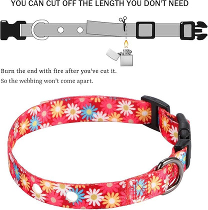 Rhea Rose 1 Inch Replacement Collar Strap Shock Collar with 2 Holes, Compatible with Nearly All Brands and Models of Underground Electric Dog Fences and Training Collars, Red Daisy