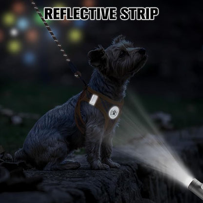 BEAUTYZOO Step in Dog Harness and Leash Set, Reflective Dog Harness No Pull No Choke Puppy Harness for Extra Small Dogs Cats, Soft Padded Mesh Vest Harnesses for Girl and Boy Pets, Orange Plaid S