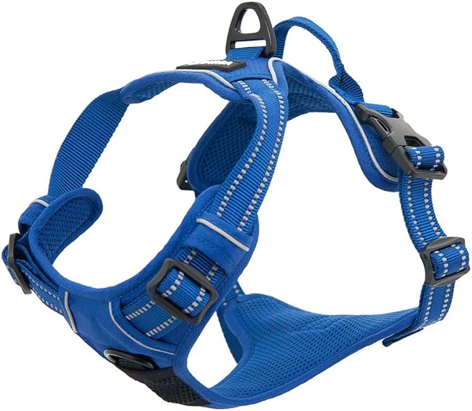 Voyager Dog Harness Dual Leash Attachment No-Pull Control Adjustable Soft but Strong Pet Harness for Medium and Large Dogs with 3M Reflective Technology, Royal Blue Lattice Nylon, S (Chest: 16-20")