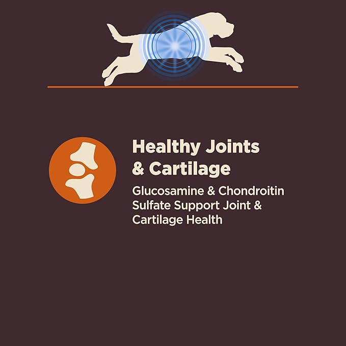 Wellness CORE Digestive Health Large Breed Adult Dry Dog Food, Wholesome Grain Kibble, Sensitive Stomach, Natural, High Protein, Chicken and Brown Rice Recipe, 24 lb Bag