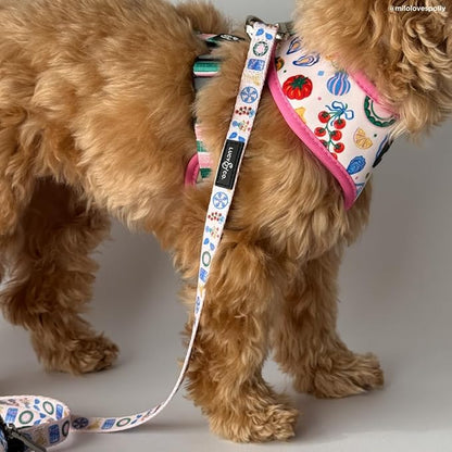 Lucy & Co. Dolce Vita Dog Leash, Durable Matching Dog Lead with Heavy Duty Hardware, Large