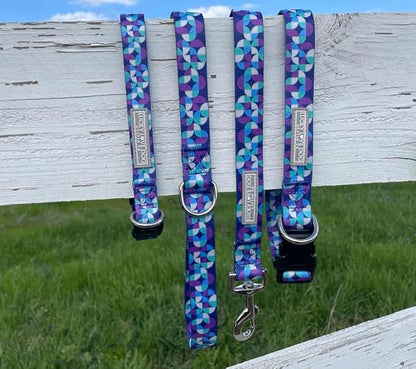 Lucky Love Dog - Adjustable Dog Collar and Leash Set with Easy Click Buckle for Small Dogs, Durable, & Comfortable Collar for Male & Female Dogs, Puppies & Adult Ones - Jasper Combo, Small