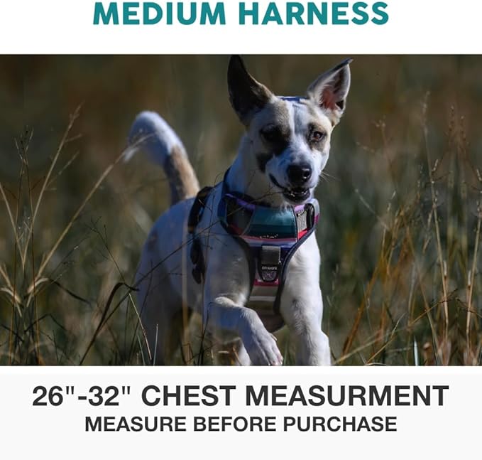 Embark Adventure Dog Harness, Reflective Trim No Pull Harness for Medium Sized Dog - Military Grade Nylon, Front Clip with Gel Lined Handle. Soft & Padded Puppy