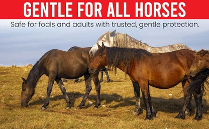 Ivermectin Paste 1.87% Only Use for Horses – Apple Flavor Oral Paste – 6.08g Syringe - Gel Dewormer for Horse - Safe for Equine of All Ages (2 - Pack)