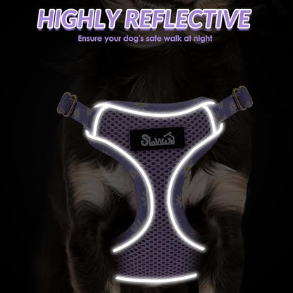Lukovee No Pull Puppy Harness and Leash Set - Soft Lightweight Escape Proof Puppy Vest Harness, Breathable Adjustable Pet Harness with Dog Leash for Small Dogs (Purple, S)