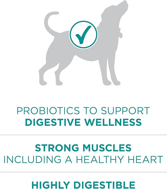 Purina One Plus Digestive Health Formula Dry Dog Food Natural with Added Vitamins, Minerals and Nutrients - 16.5 Lb. Bag