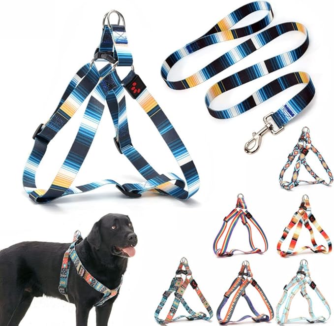Dog Harness and Leash Set, Pretty Pattern No-Pull Pet Halter Puppy Vest Outdoor Easy Walk for Small Medium Large Breed Pug Bully Mastiff Dogs Female Male, Blue L