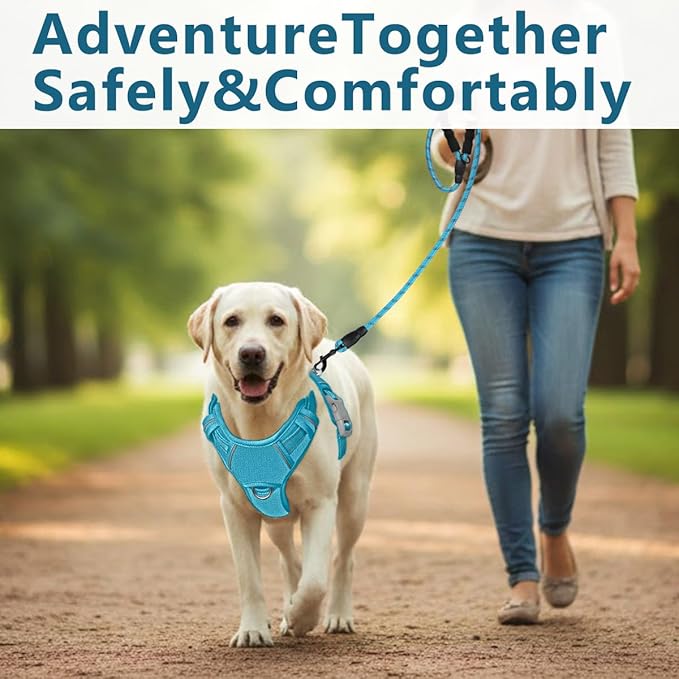 BARKBAY Dog Harness No Pull Oxford with ID Tag Pocket - Heavy Duty, Reflective, Easy Control for Large Dogs(Aqua Oxford,M)
