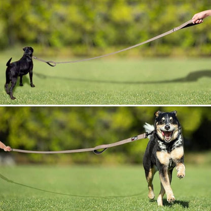 Plutus Pet Double Handle Dog Leash 6ft, Heavy Duty, Reflective Dual Handle Dog Leash for Safety Training, for Medium Large Dogs,2 Handle Leads(Beige)