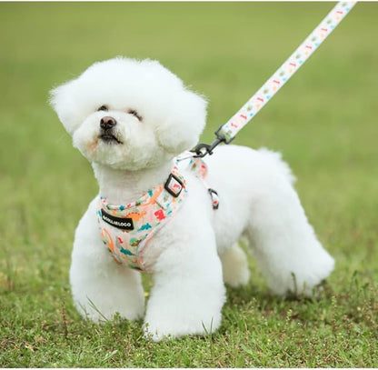 Adjustable Dog Harness and Leash Set for Girl Air Mesh Dog Vest Harness 5Ft Pet Training Leash with Soft Handle Pet Escape Proof for Small Medium Large Dogs (Dinosaur, XS)