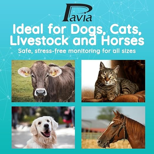 Pavia Rectal Temp Veterinary Thermometer | Accurate Temps in Only 6 Seconds | Cordless | Ideal for Dogs Cats Horses Pets | No Expensive Probe Covers | Trusted by Vets and Breeders