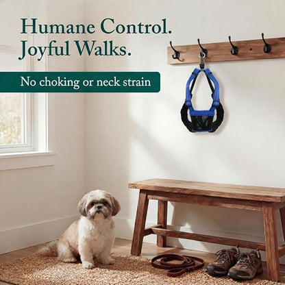Sporn No Pull Dog Harness, Durable Nylon Mesh Harness for Small Dogs, No Choke Design, Padded Restraint Sleeves, Adjustable Fit, Easy On/Off, Ideal for Small Breeds, Blue