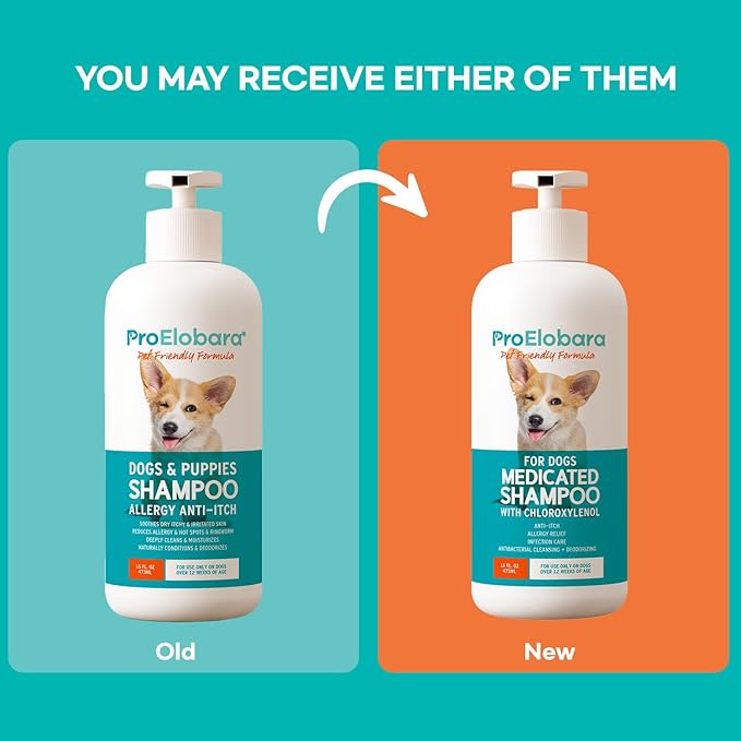 Medicated Dog Shampoo for Allergies and Itching: Antifungal Dog Shampoo, Yeast Infection and Bacterial Treatment for Dogs - Helps Hot Spots, Deodorizing and Anti Itch - Healthy Skin & Coat 16 OZ