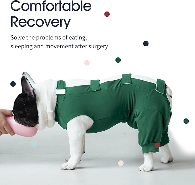 IECOii Dog Surgery Recovery Suit for Female Or Male Dogs,Post Surgery Dog Onesies for Spay Neuter,Small Dog Surgical Suit for Abdominal Wound and Rear Leg,Dogs E-Collar & Cone Alternative,S-Green