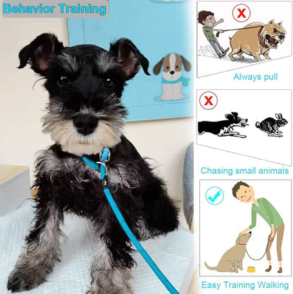 BTINESFUL 10FT / 15FT / 20FT Slip Lead Dog Leash, Reflective 1/3” Rope Leash Long Training Lead for Small Medium Dogs