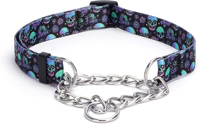 Martingale Dog Collar with Stainless Steel Chain - Limited Chain Cinch Training Collar for No Pull Training Dog - Flower Multicolor Cute Patterns - Premium No Slip Collar (S, Skull)