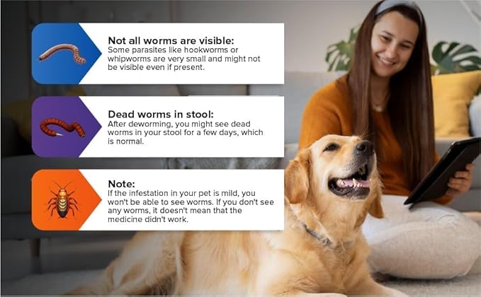 No More Tapeworms in Cats and Dogs- Dewormer for Cats and Dewormer for Dogs - Vanilla Flavour with 3ml Dropper (120ml Vanilla)
