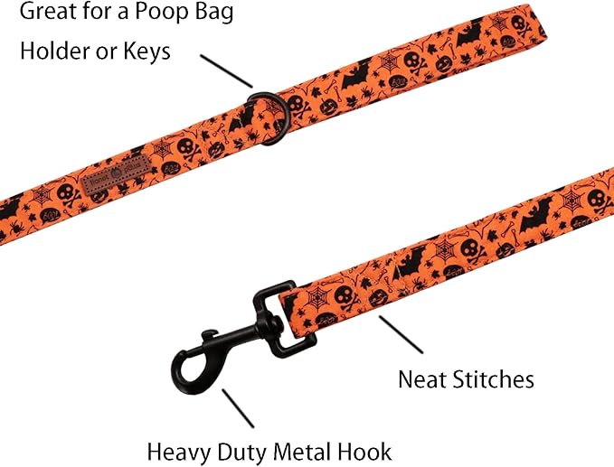 Lionet Paws Dog Leash for Small Medium Dog, Orange, 1in x 5ft