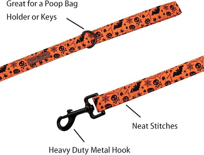 Lionet Paws Dog Leash for Small Medium Dog, Orange, 1in x 5ft