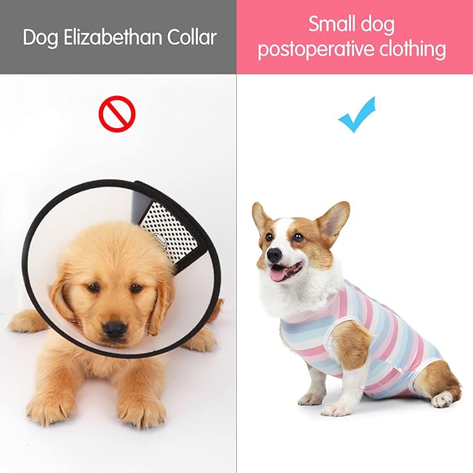 Recovery Suit for Dogs Dog Onesie for Surgery, Dog Surgery Recovery Suit for Small Medium Dogs, E-Collar Alternative After Surgery Wear Anti Licking Abdominal Wounds Pet Surgery Recovery Suit