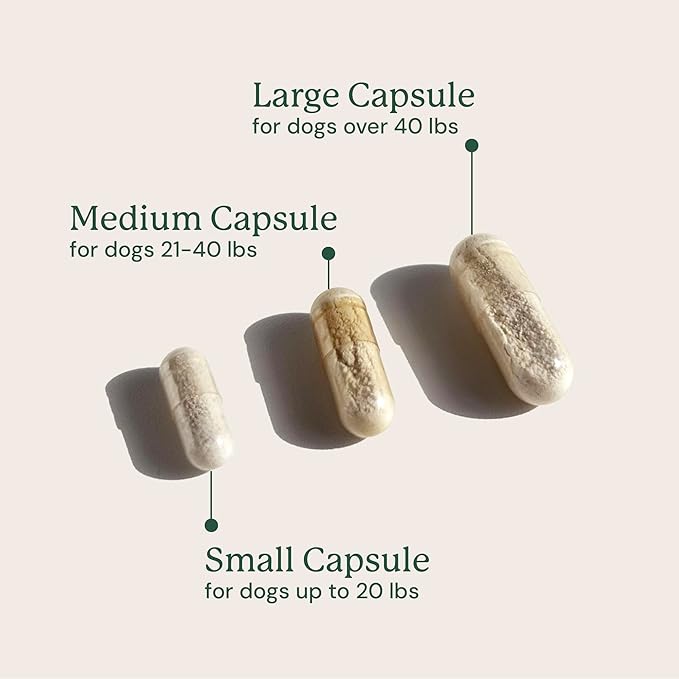 Animal Biome Probiotics for Dogs with S Boulardii, Gut Maintain (60 Capsules) – Triple-Action Large Dog Probiotics, Prebiotics & Phage Supplements for Gut Health, Firmer Stool & Diarrhea Support