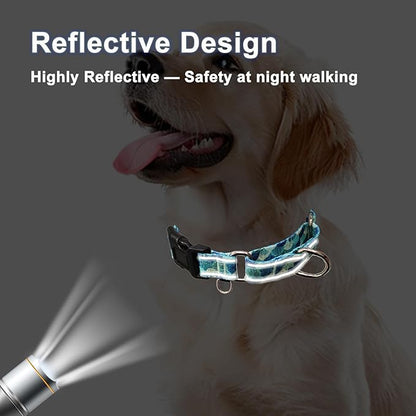 Reflective Martingale Collar with Buckle Adjustable Nylon Training Pet Collars for Extra Small Dogs (Turquoise Shell, XS)