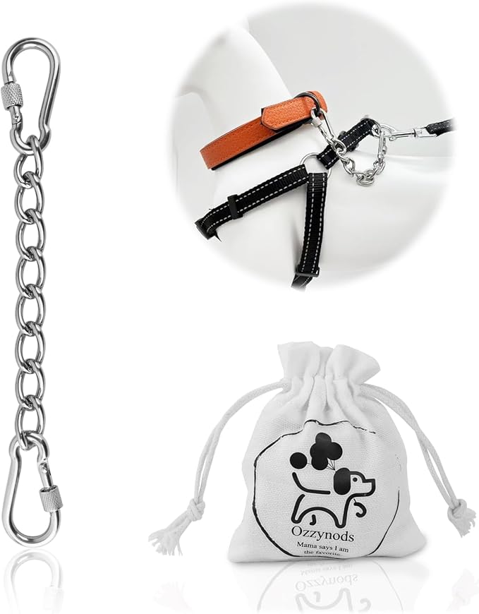 Dog Collar Safety Clip, Chew Proof Prong Collar Double Ended Backup Clasp Stainless Steel, Heavy Duty Dog Chain Leash Connector for Harness, Pinch, Gentle Lead with Carabiner, 8in
