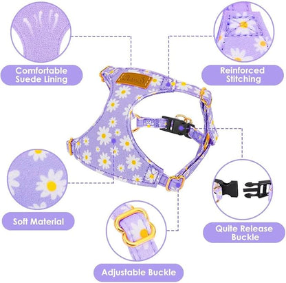 Lukovee Puppy Harness and Leash Set, No Pull Lightweight Soft Suede Adjustable Pet Harness Vest with Snap Buckle for Puppy Small and Medium Size Dog (Purple-S)
