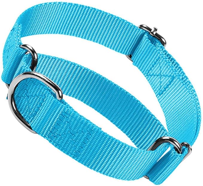 Dog Collar Martingale, No Pull Choke Dog Collar Escape Proof Cinch Dog Training Collars Adjustable for Small Medium Large Breed Pet Dogs, Light Blue M