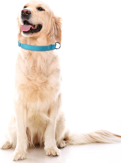 SGODA Martingale Dog Collar, Reflective Nylon Padded Dog Training Collars for Small Dogs, Blue S