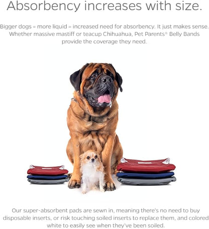 Pet Parents® Washable Belly Bands for Male Dogs (3pack) + Extendrs® of Durable Dog Diapers Male, Premium Male Dog Diapers & Dog Wraps (Medium, Kingsmen)
