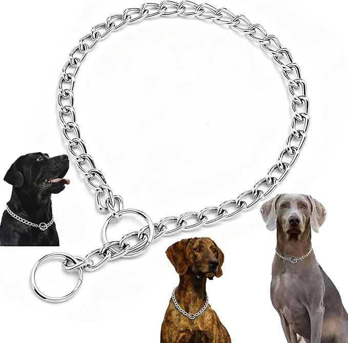 Martingale Dog Collar with Chain, Heavy Duty Metal Choker Dog Collar, Limited Slip Control for Small Medium Large Breeds, Silver Size S