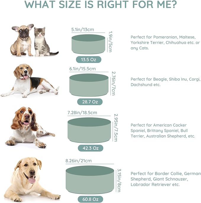 SPUNKYJUNKY 42OZ Ceramic Dog and Cat Bowl, Modern Cute Weighted Food Water Bowl for Replacement Morandi Green (1 Pack)