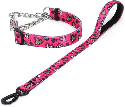 Martingale Dog Collar and Leash Set, Stainless Steel Chain, No Pull Training Collar with Flower Design, for Small, Medium, Large Dogs (NO1, S)