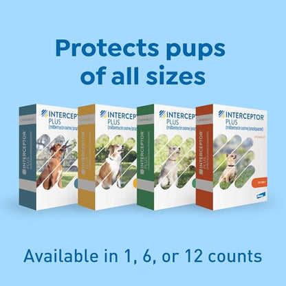 Interceptor Plus Prevention for Heartworm + 4 Other Worms for Dogs 50.1-100 lbs. | 1 Chew, 1-Month Supply