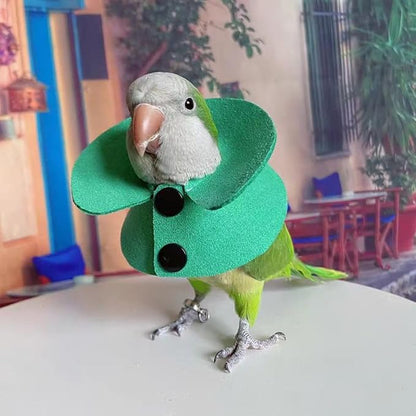 Pet Parrot Anti-bite Elizabethan Collars, Anti-Grab Feather Plucking Wound Healing Safety Recovery Collar Cones for Budgerigar Lovebird Conure Cockatiel Cockatoo Random Color (L)