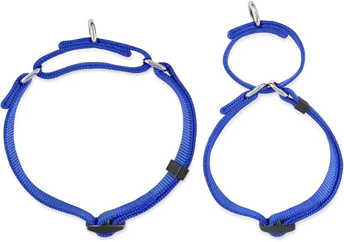 Hyhug Martingale Collar for Dogs Large Blue |Escape - Proof Heavy Duty Nylon Durable No Pull, Ideal for Training & Daily Walks