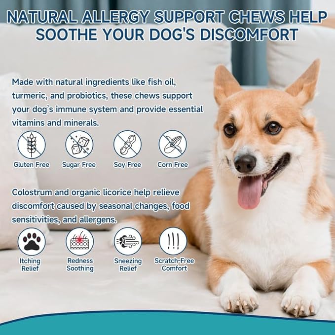 Dog Allergy Chews for Dog Itching Skin Relief, 200 Dog Allergy Relief Treats with Probiotics for Dogs, Immune Support & Skin Relief for Seasonal Allergies, Gut & Digestive Health, Chicken Flavor