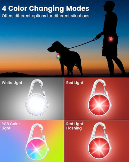 2 Pack Dog Collar Light, 4 Modes Clip On Dog Lights for Night Walking, Glow in the Dark LED Pet Collar Charm, Rechargeable Pet Camping Essentials for Nighttime Running, Cycling, Hiking(White)