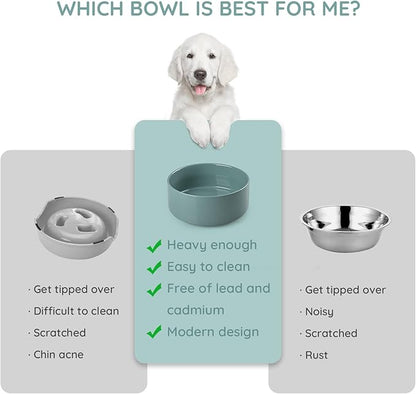 SPUNKYJUNKY 28.7OZ Ceramic Dog and Cat Bowl, Modern Cute Weighted Food Water Bowl for Replacement Light Green (2 Pack)