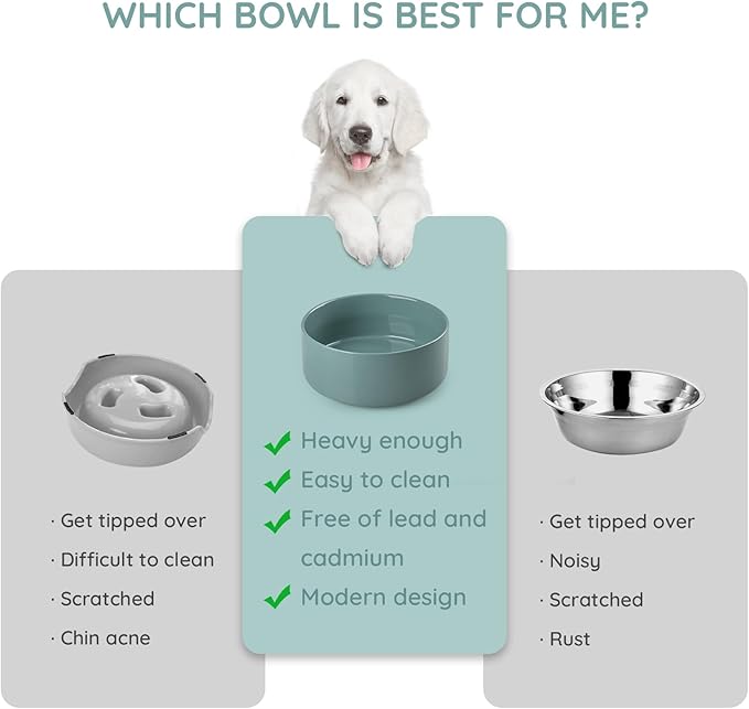 SPUNKYJUNKY 60 OZ Ceramic Dog and Cat Bowl, Modern Cute Weighted Food Water Bowl for Replacement Light Green (1 Pack)
