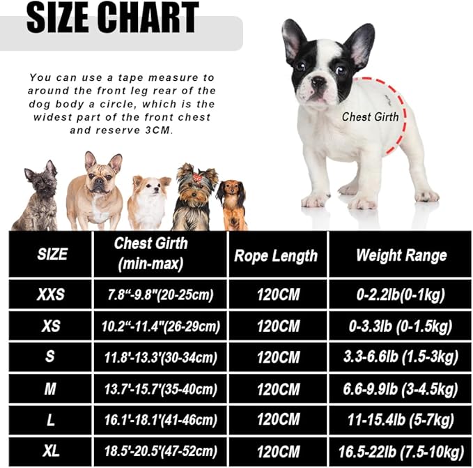 FEimaX Dog Harness and Leash Set for Walking, Soft Mesh Adjustable Easy Control Lightweight Cat Vest Harnesses with Reflective Strips, Escape Proof Small Dogs Cats Vests (Cowblack, Small)