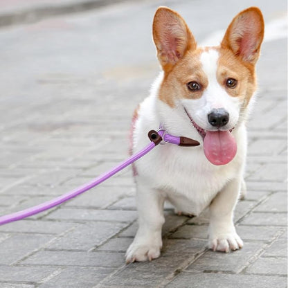 BTINESFUL 7FT Slip Lead Dog Leash, 1/4" Nylon Rope Dog Training Leash for Small Medium Dogs Outdoor No-Pull Walking, Behavior Training, Purple