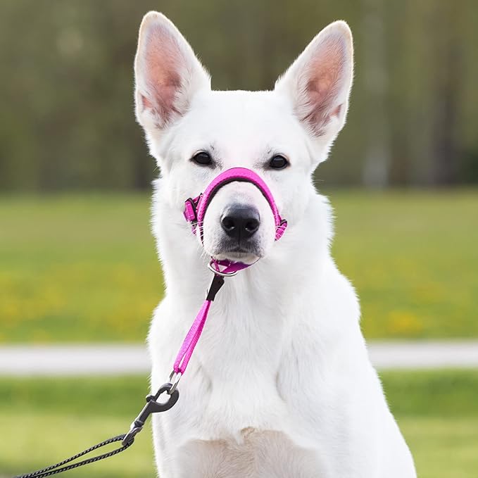 GoodBoy Dog Head Halter with Safety Strap - Stops Heavy Pulling On The Leash - Padded Headcollar for Small Medium and Large Dog Sizes - Head Collar Training Guide Included (Size 4, Pink Nylon)
